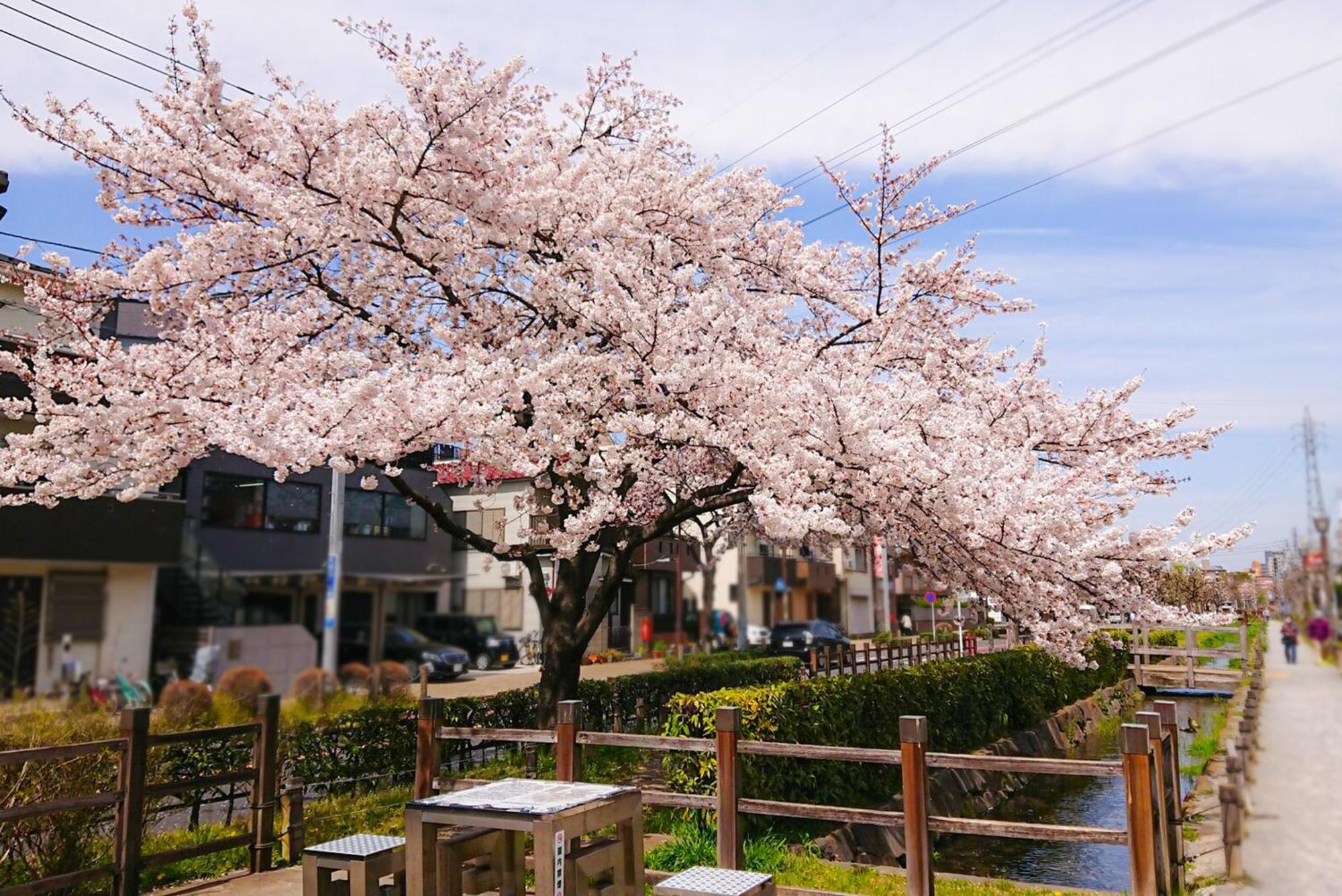 Sc Heights 106 Apartment Tokyo Bagian luar foto
